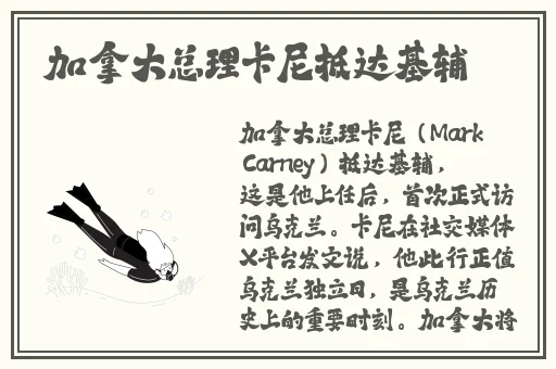 国产精品99久久久久久人